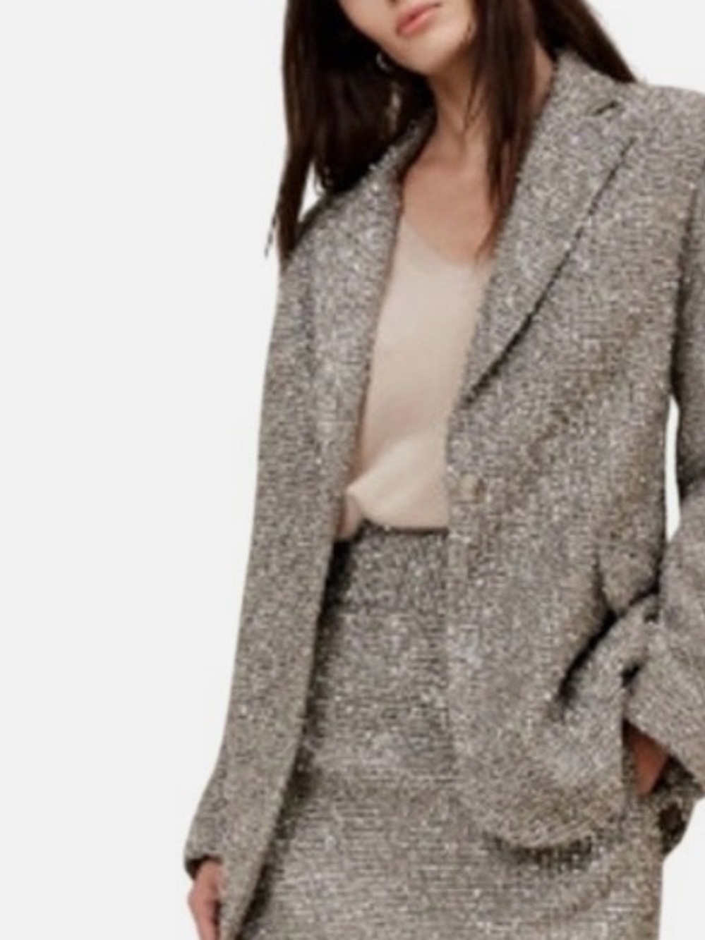 Banana Republic Gray Tweed Blazer - SILVER  Mix